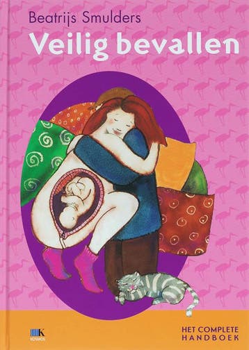 Veilig bevallen / Veilig-serie 9789021581088, Boeken, Verzenden, Gelezen, Beatrijs Smulders