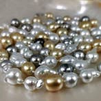 Halsketting Zilver Parel - Parel - Rainbow SSP-TAH Ø10x13MM
