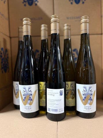 2023 Weingut Weegmüller - Riesling Bürgergarten Alte Reben -, Nieuw