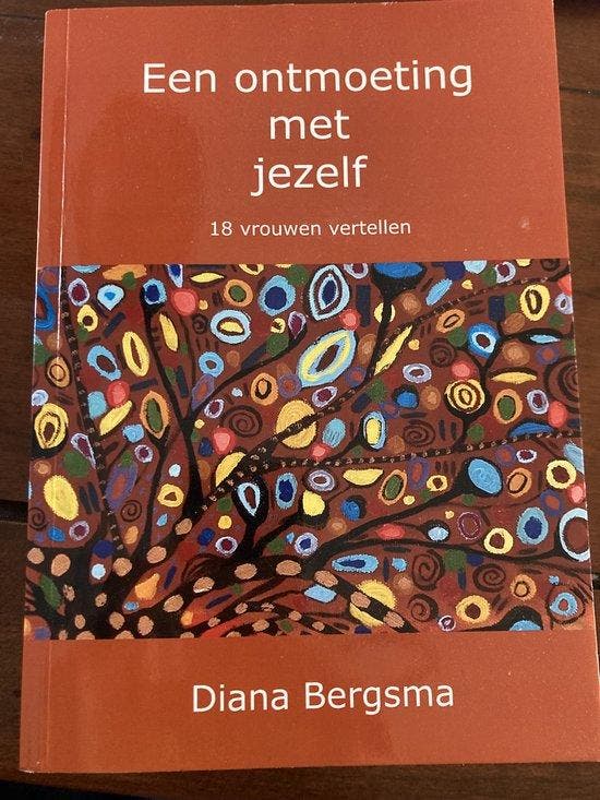 Een ontmoeting met jezelf 9789082291636, Livres, Loisirs & Temps libre, Envoi