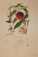 Salvador Dali (1904-1989) - Flordali, Pécheur Pénitent, Antiek en Kunst