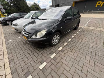 Online veiling - Peugeot - 307 - 1.6-16V XS - Car - 2004