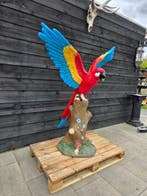 Beeld, XXL Parrot - 157 cm - Hars - 2026