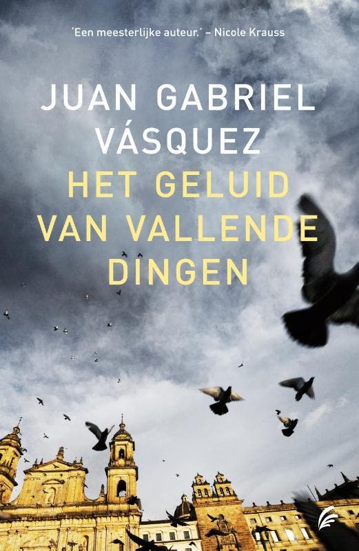 Het geluid van vallende dingen 9789056724382, Livres, Romans, Envoi