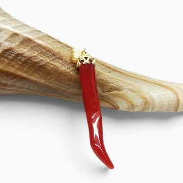 Koraal - Zilver - Ketting met hanger - met de hand, Verzamelen, Mineralen en Fossielen