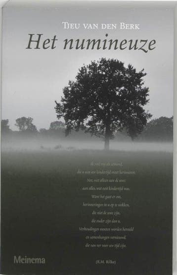 Het numineuze (9789021140407, T. van den Berk), Verzenden, Nieuw