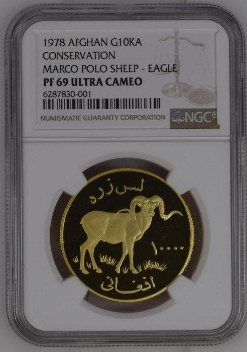 Afghanistan. NGC PF69 Ultra Cameo, Gold mintage only 181., Timbres & Monnaies, Monnaies | Asie