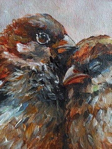 Tomasz Bednarski (1965) - Lov of sparrows