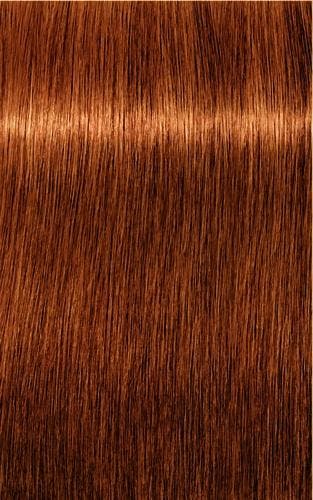 Schwarzkopf Professional Igora Royal Absolutes 60ml, Verzenden, Overige typen