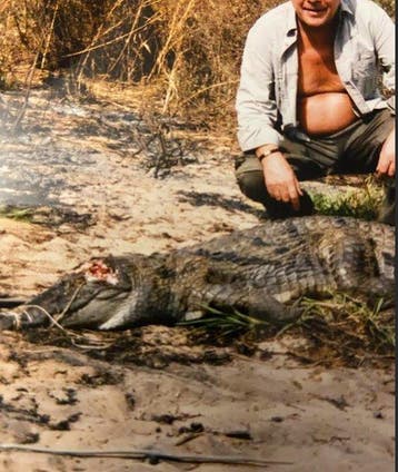 West-Afrikaanse krokodil Tand - Crocodylus suchus - ensemble, Verzamelen, Nieuw
