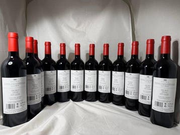 2020 Petra, Hebo - Toscane IGT - 12 Flessen (0.75 liter), Nieuw