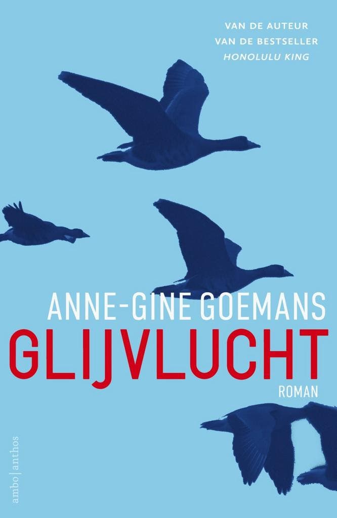 Glijvlucht (9789026339851, Anne-Gine Goemans), Livres, Romans, Envoi