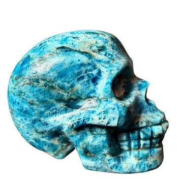 Skull en apatiet - premium Gravure - Hoogte: 50 mm -, Antiek en Kunst