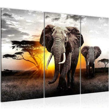 Canvas schilderij enkel 80 x 60 cm tot 5-luik 240 x 112 cm, Antiek en Kunst, Verzenden