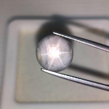 1 pcs Gris Saphir étoilé - 8.66 ct - International Colored, Handtassen en Accessoires, Nieuw