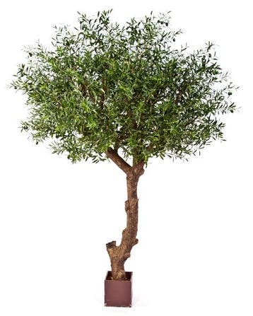 Kunstplant Olijfboom Giant 270 cm, Huis en Inrichting, Verzenden
