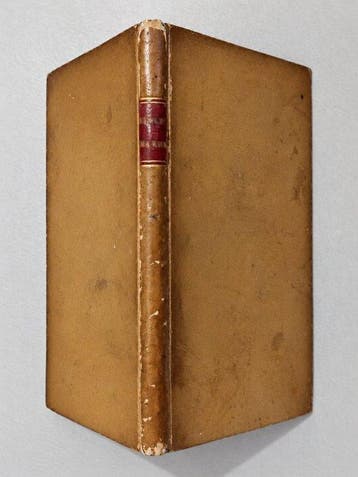 Artus DESIRE - RARE EO - La Singerie des Huguenots, Marmots