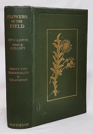 The Rev. C. A Johns - Flowers of the Field (With 92 Coloured, Antiek en Kunst, Antiek | Boeken en Manuscripten
