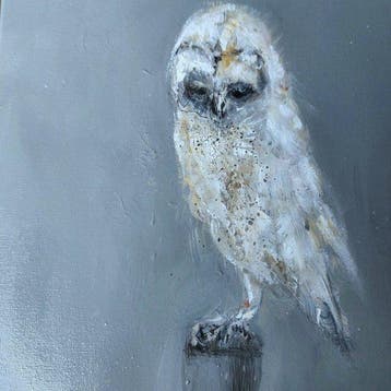 Dorien Plaat - Young owl, Antiek en Kunst