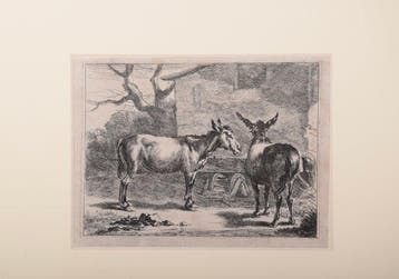 Jan de Visscher naar ontwerp van Nicolaes Pietersz. Berchem