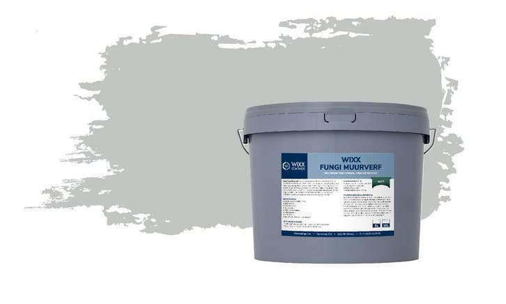 Wixx Fungi Muurverf Matt RAL 7035 | Lichtgrijs 10L, Bricolage & Construction, Peinture, Vernis & Laque, Envoi