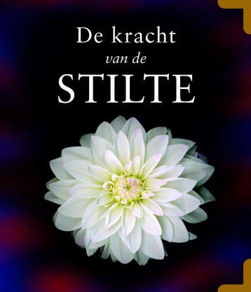 De kracht van de stilte 9789045306315 V. Eswaran, Verzenden, Zo goed als nieuw, V. Eswaran