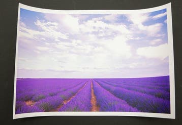 Viet Ha Tran - Song of purple II