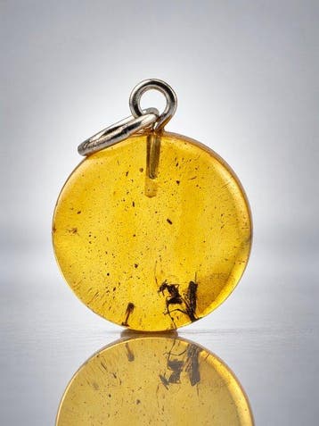 Heldere gouden barnsteen-fossielhanger – prominente