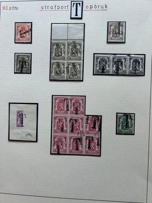 België 1912 - Strafport-zegels - Heraldieke Leeuw met ’T’, Timbres & Monnaies, Timbres | Europe | Belgique