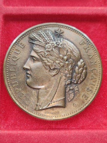 Frankrijk. Medaglia in bronzo Exposition Universelle 1878,