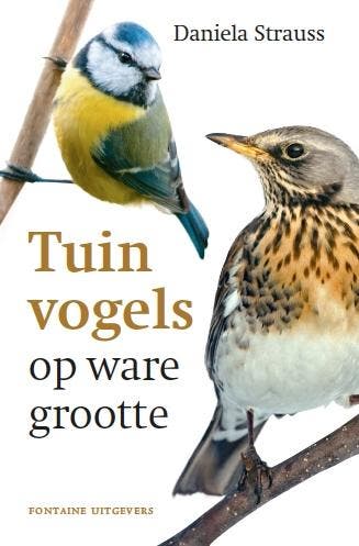 Tuinvogels op ware grootte 9789059566484 Daniela Strauss, Verzenden, Gelezen, Daniela Strauss