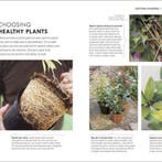 How To Garden When Youre New To Gardening 9780241336656, Verzenden, Zo goed als nieuw, The Royal Horticultural Society