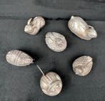 Lime box - Lokaal zilver met laag gehalte, verzilverd -