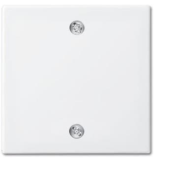 ABB Busch-Jaeger Balance SI Control Element/Central Plate, Verzenden