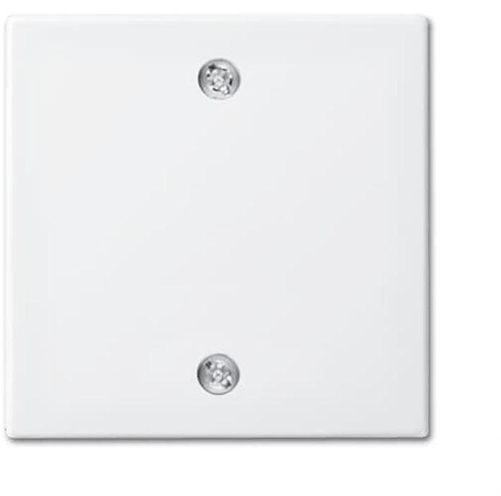 ABB Busch-Jaeger Balance SI Control Element/Central Plate, Bricolage & Construction, Électricité & Câbles, Envoi