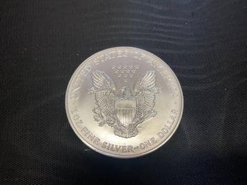 Verenigde Staten. 1 Dollar 1995, American Silver Eagle, 1 Oz