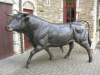 Prachtige stier in brons. taureau en bronze, Nieuw