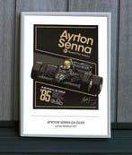 Ayrton Senna - 1994 - Poster, Verzamelen, Nieuw