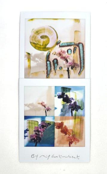 Maurizio Galimberti (1956–) - BiFlowers - 11502