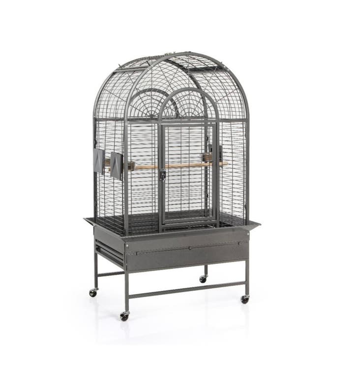 Montana New Jersey Antiek of Platinum - In Stock!, Dieren en Toebehoren, Vogels | Hokken en Kooien, Vogelkooi, Nieuw, Metaal, Ophalen of Verzenden