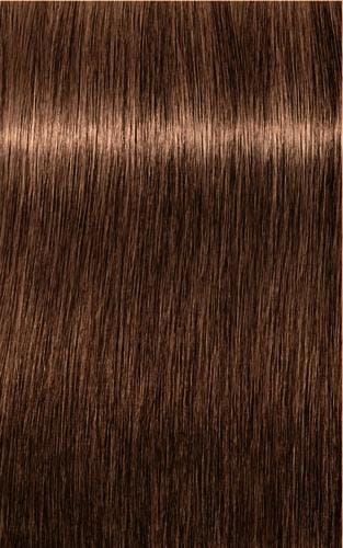 Schwarzkopf Professional Igora Royal Absolutes 60ml, Verzenden, Overige typen
