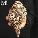 Antieke Hindu Shankha schelp - handgemaakte gravure -