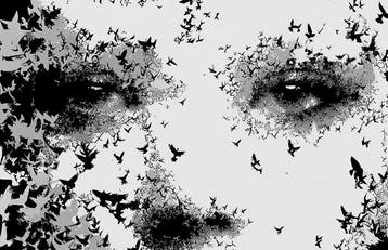 David Law - The Flight