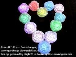 Roos LED Colorchanging Per stuk, Nieuw