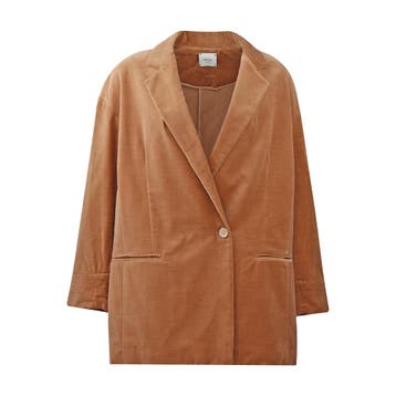 Alysi • bruine fluwelen blazer • 34 (IT38), Kleding | Dames, Bruin, Verzenden, Maat 42/44 (L), Nieuw