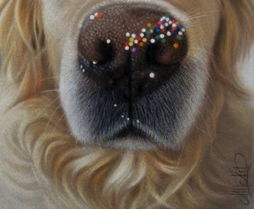 Moira Lazio - Golden Retriever – Hyperrealistic Pastel