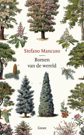 Bomen van de wereld - Stefano Mancuso - 9789464520033 - Pape, Verzenden, Nieuw