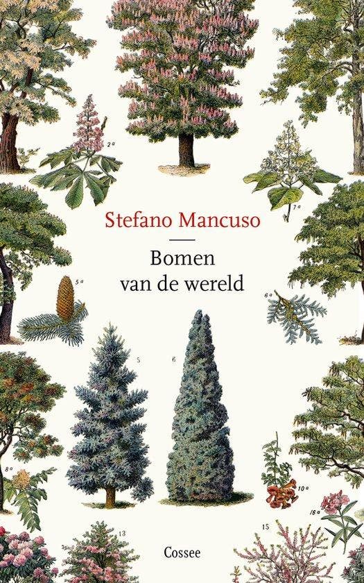 Bomen van de wereld - Stefano Mancuso - 9789464520033 - Pape, Boeken, Wetenschap, Verzenden