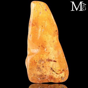 Échantillon de copal - naturel - ambre jeune - Copal de