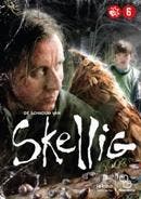 Schaduw van Skellig, de op DVD, Verzenden, Nieuw in verpakking